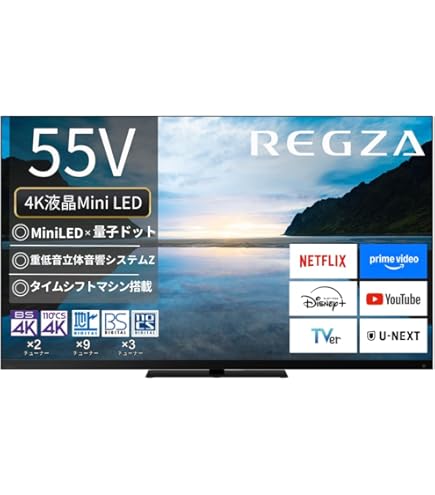 Amazon | 東芝 49V型 液晶 テレビ 49G20X 4K USB HDD録画対応 2015年