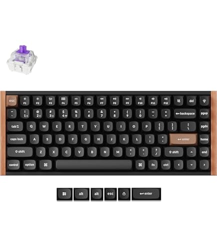 Amazon | PFU Happy Hacking Keyboard Professional2 墨 英語配列 静電