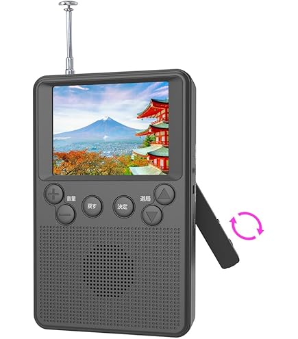 Amazon.co.jp: SONY ワンセグ搭載ラジオ ブラック XDV-G200-BC : 家電