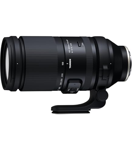 Amazon.co.jp: シグマ 170-500mm F5-6.3 APO DG ソニー用 : 家電＆カメラ