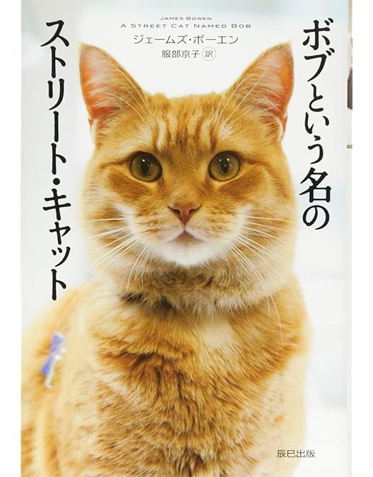 Amazon.co.jp: ボブという名の猫 幸せのハイタッチ DVD : ボブ(猫