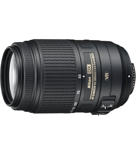 Amazon.co.jp: Nikon 超広角ズームレンズ AF-S DX Zoom Nikkor 12-24mm