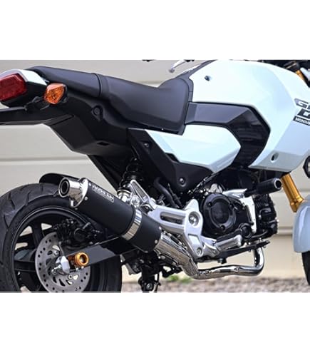 Amazon | スペシャルパーツ武川(TAKEGAWA) スポーツマフラー ノーマル