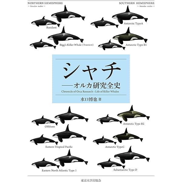 Amazon.co.jp: いつか、オルカ : 谷口一久 大出庸子: Japanese Books