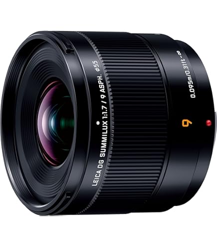 Amazon.co.jp: パナソニック(Panasonic) 単焦点 広角レンズ マイクロ