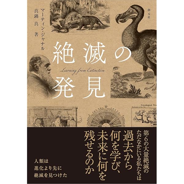 Amazon.co.jp: 新版 幻想の中世: ゴシック美術における古代と異国趣味