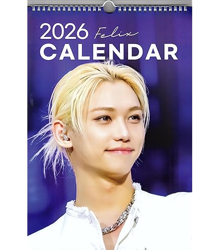 Amazon.co.jp: ストレイキッズ フィリックス パノラマポスター (Stray