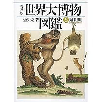 71F8ybjFJOL._AC_UL210_SR210,