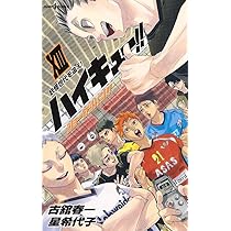 Amazon.co.jp: ハイキュー!! ショーセツバン!! 13 (JUMP j BOOKS) : 星
