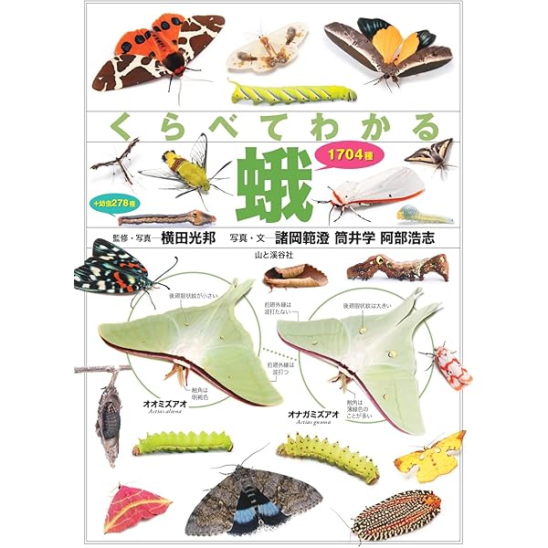 Amazon.co.jp: 日本の小蛾類 : 那須 義次, 広渡 俊哉, 坂巻 祥孝, 岸田
