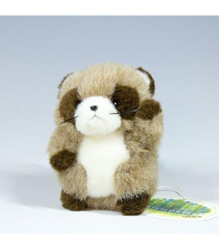 Amazon.co.jp: タヌキとキツネ すやすやフレンドおうちでリラックス