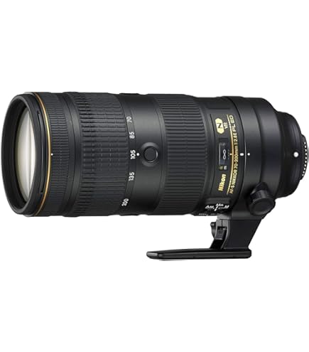 Amazon.co.jp: Nikon Ai AF Zoom Nikkor ED 80-200mm F2.8D : 家電＆カメラ