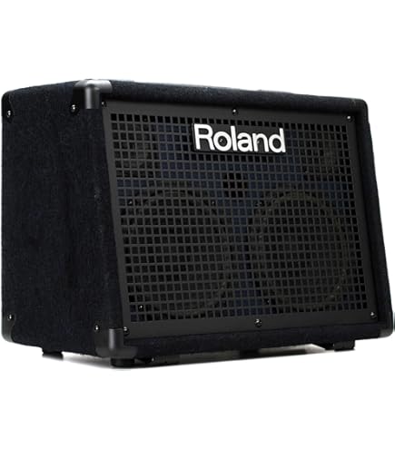 Amazon.co.jp: Roland kc-150 |コンパクト4チャネル65ワットミキシング