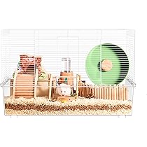 71SAFqWH3BL._AC_UL210_SR210,