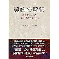 民事裁判実務論点大系 ―裁判官からみた手続運用と実践知 | 田中 敦