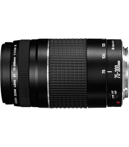 Amazon.co.jp: シグマ 180mm F3.5APO MACRO EX DG HSM キヤノン用
