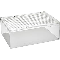 71Rkeg5dAaL._AC_UL210_SR210,