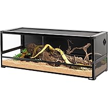 71WJv0Eh87L._AC_UL210_SR210,