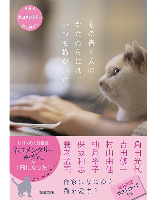 Amazon.co.jp: ネコメンタリー猫も、杓子も。2 [DVD] : 岸政彦, 真梨