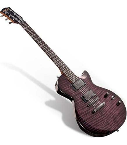 Amazon | Donner 39 Inch Electric Guitar, Designer Series DST-200