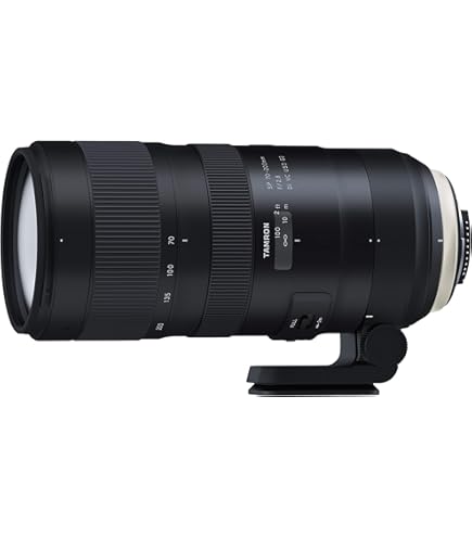 Amazon.co.jp: タムロン SP 70-200mm F2.8 Di VC USD G2 キャノン用