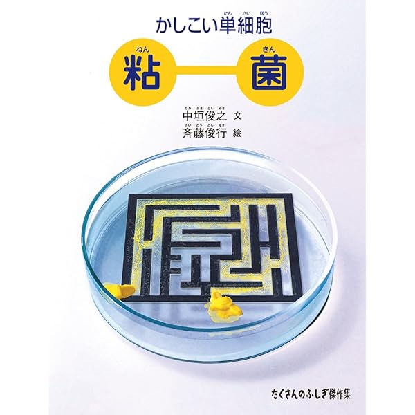 粘菌: 驚くべき生命力の謎 | 松本 淳, 伊沢 正名 |本 | 通販 | Amazon