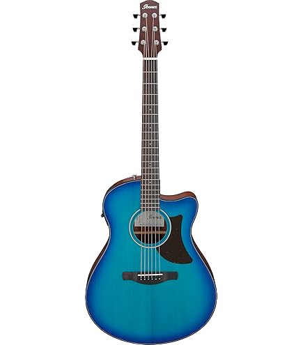 Amazon | アイバニーズ Ibanez AC419E OAW アコースティックギター