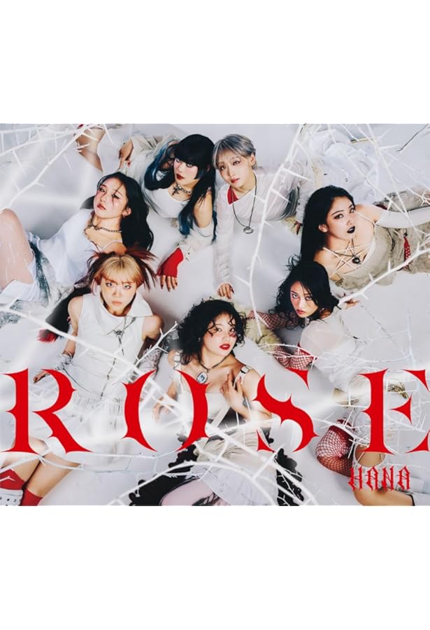 VI/NYL(バイ&ナル) #023 HANA 【表紙：HANA】 | VI/NYL |本 | 通販