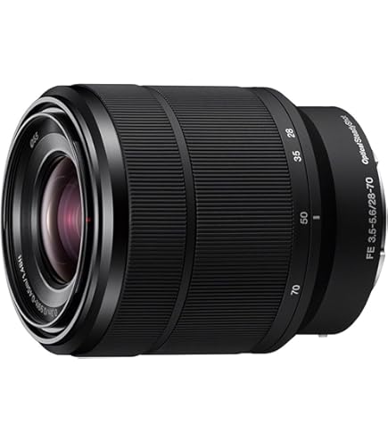 Amazon.co.jp: Tokina AT-X PRO 28-70mm F2.8 for MINOLTA/SONY