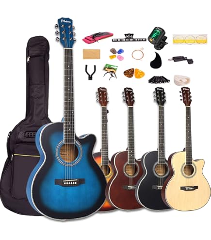 Amazon | James J-450D/Ova Black アコースティックギター エレアコ