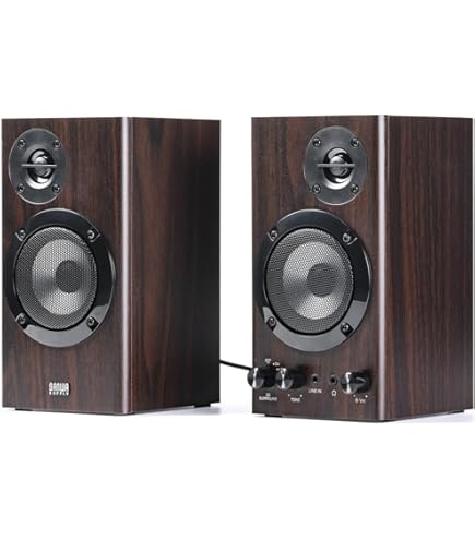 Amazon.co.jp: ONKYO WAVIO パワードスピーカーシステム 40W+40W GX