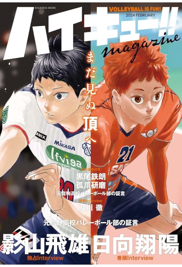 ハイキュー!! ファイナルガイドブック 排球極! (ジャンプコミックス