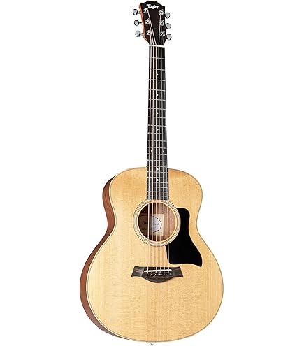 Amazon | Taylor 314ce エレアコギター テイラー | スチール弦