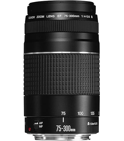 Amazon.co.jp: キャノンEF 75-300mm f/4-5.6 III 望遠ズームレンズ