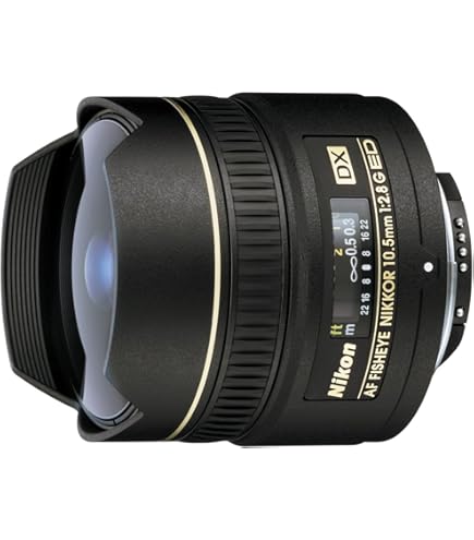 Amazon.co.jp: SIGMA 単焦点魚眼レンズ 10mm F2.8 EX DC FISHEYE HSM