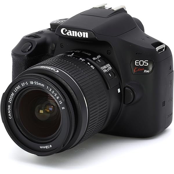 今すぐ使えるかんたんmini Canon EOS Kiss X9i 基本&応用 撮影ガイド