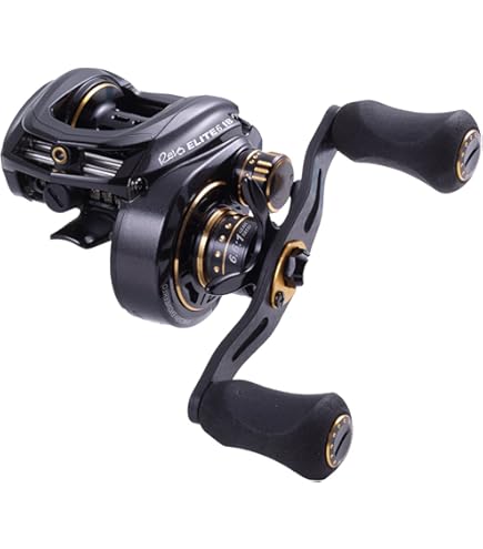 Amazon.co.jp: Abu Garcia Revo BLACK9-L Left #1366270 : Sports