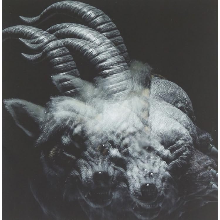 Amazon.co.jp: NINTH(初回生産限定盤)(DVD付): ミュージック