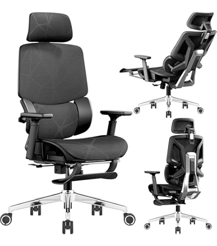 Amazon.co.jp: Hara Chair ハラチェア ニーチェ 《標準モデル