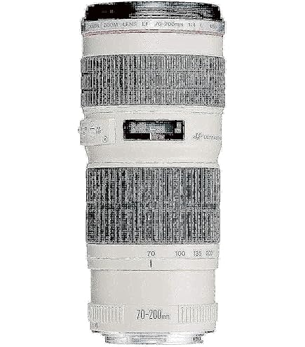 Amazon.co.jp: Canon EF 35-350mm f/3.5-5.6L USM Zoom Lens : 家電