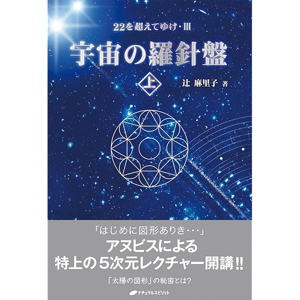 Amazon.co.jp: 22を超えてゆけ: 宇宙図書館(アカシック・レコード)を