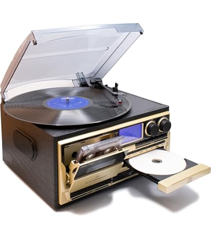 Amazon.co.jp: WINTECH スピーカー搭載マルチオーディオプレーヤー KRP