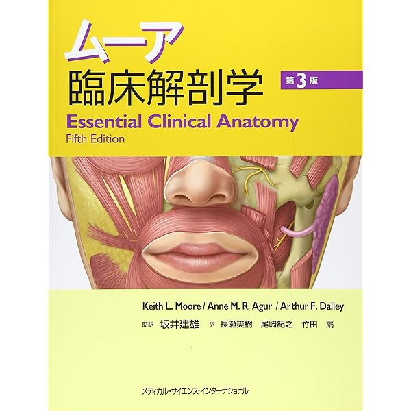 腰椎・骨盤領域の臨床解剖学 原著第4版 腰痛の評価・治療の科学的根拠