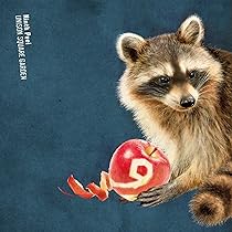 813WNRpcZPL._AC_UL210_SR210,