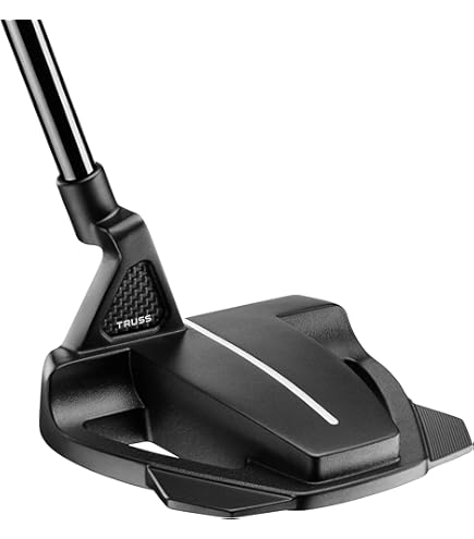 Amazon | TAYLOR MADE(テーラーメイド) SPIDER GHOST パター 33インチ