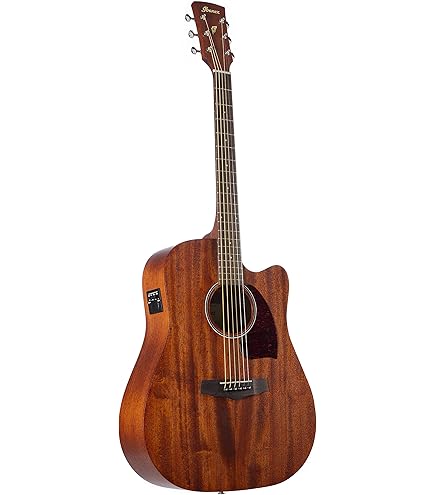 Amazon | Ibanez AC240 OPN アコースティックギター (アイバニーズ