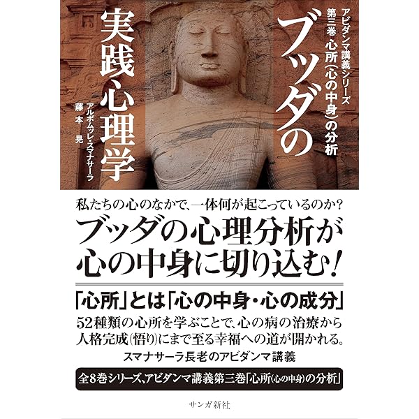 ブッダの実践心理学 第六巻 縁起の分析 アビダンマ講義シリーズ