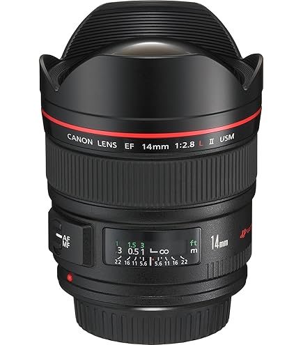 Amazon.co.jp: Canon 単焦点広角レンズ EF24mm F1.4L II USM フル