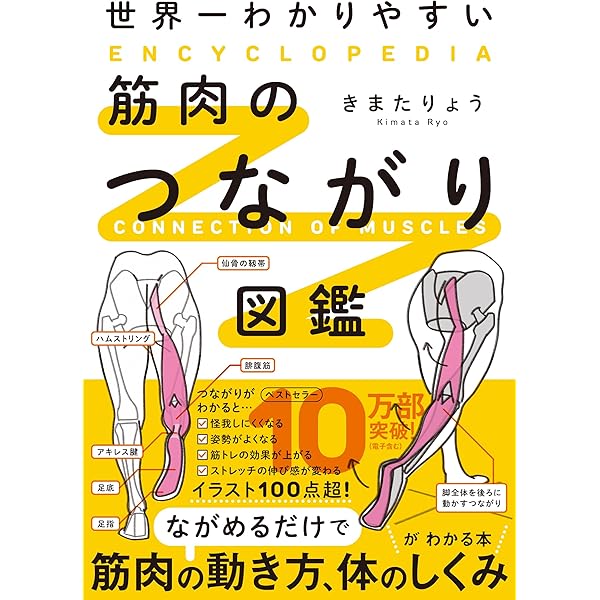 DVD】少数穴・無痛の即効治療 アキュゾーン・セラピー () | 中野雅章