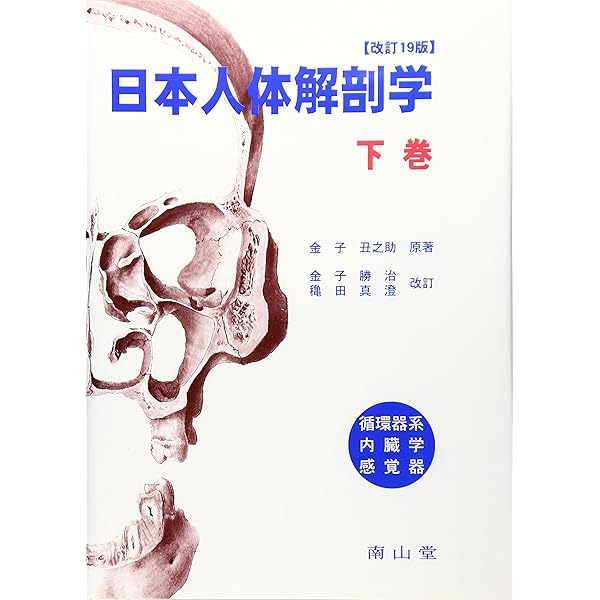 日本人体解剖学 上 19版 | 金子 勝治 |本 | 通販 | Amazon